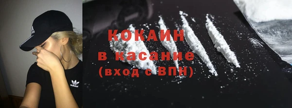 индика Лиски