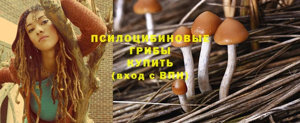 кокс Липки
