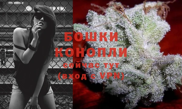 кокс Липки