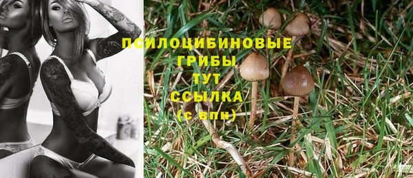 индика Лиски