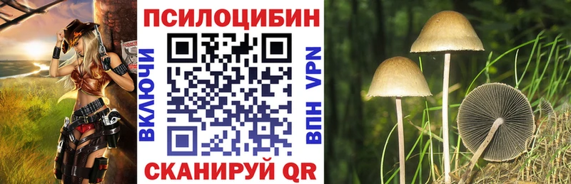 Псилоцибиновые грибы MAGIC MUSHROOMS  Новомосковск 