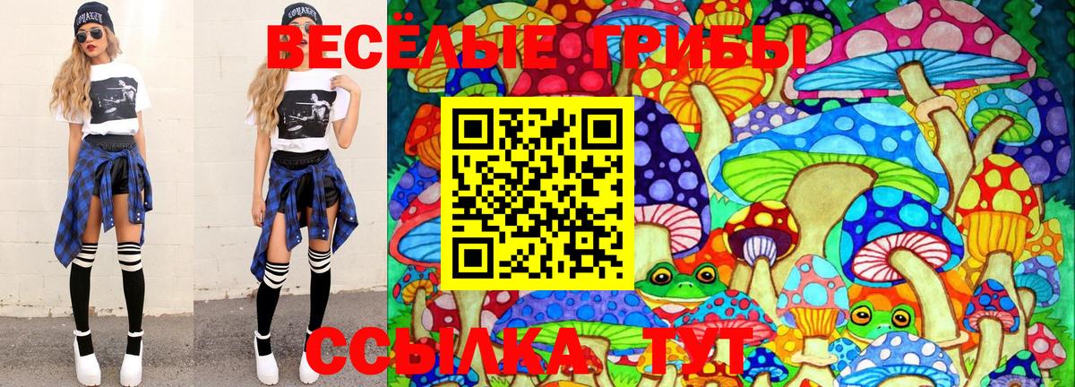 Галлюциногенные грибы GOLDEN TEACHER Новомосковск