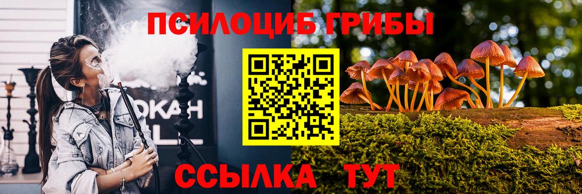 Галлюциногенные грибы GOLDEN TEACHER  Галлюциногенные грибы Magic Shrooms  Новомосковск 