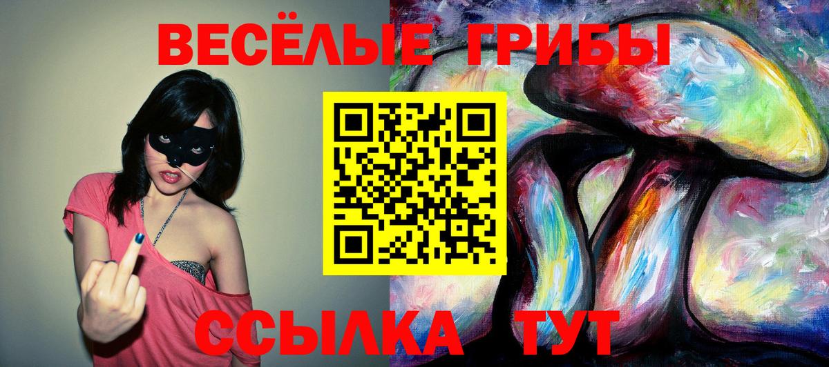 Новомосковск  Псилоцибиновые грибы прущие грибы  Псилоцибиновые грибы прущие грибы  цены наркотик  Вход с VPN 