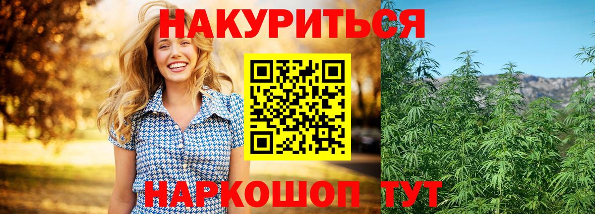 Шишки марихуана конопля  Конопля SATIVA & INDICA  Канабис гибрид  Новомосковск  Марихуана Bruce Banner  Вход с VPN 